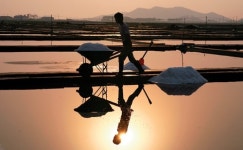 소금박람회, 천열염의 고장 신안 증도 개최