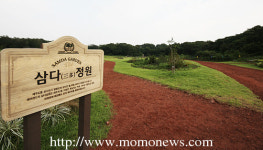바다부터 오름까지 제주 자연속을 달리는 1118번 국도길