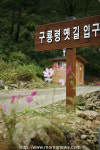 관광공사 추천 10월에 가볼만한 곳