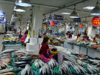 주문진 시장 문전성시 사진展 개최