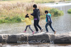 사계절 숲체험이 가능한 편백나무숲, 우드랜드
