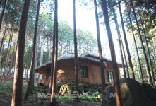 사계절 숲체험이 가능한 편백나무숲, 우드랜드