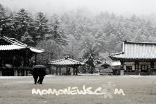 알펜시아 리조트, 오대산 월정사 템플 라이프