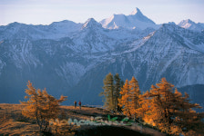 물의 해를 맞이하는 스위스 관광청 테마스파