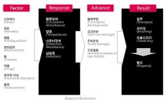 탈모, 제대로 알아야 치료한다!