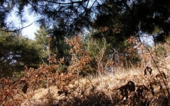 산수 못하는 경기도 때문에 도민들만 생고생