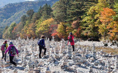 인제군 용대리 백담사 관광안내소 ‘오픈’