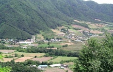 인제군 ‘산림훼손행위ㆍ오염행위’ 꼼짝 마!