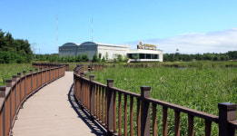 선사시대 대표박물관, 자리굳힌 ‘양양 오산리선사유적박물관’