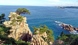 ‘양양 녹색경관 길 조성사업’ 박차