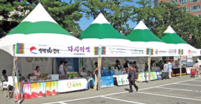 속초시 ‘우리고장 농수산물로 풍요로운 한가위 되세요’