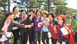 양양송이축제 연일 ‘성황’