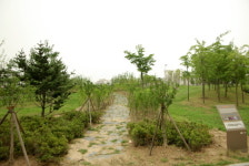 전주시 효자동 문학대공원, 무궁화동산으로 탈바꿈!