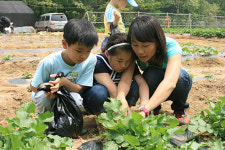 유희왕과 주말농장
