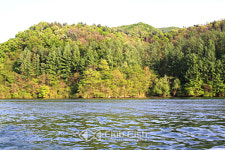가평 육수상 레저 클럽 ‘클럽피쉬’ 펜션 오픈