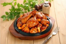 프랜차이즈 치킨 창업아이템 핫썬치킨, 창업 설명회 실시