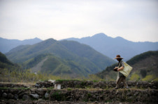 건강한 삶의 비결, 지리산 산야초 효소