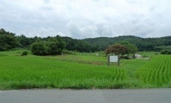 울산박물관, ‘율리 영축사지’ 학술발굴조사