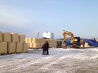 이지바이오, 러시아에서 직접 경작한 옥수수 국내 첫 반입