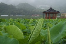 용인시, 농촌체험마을로 오세요