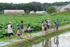 용인농촌테마파크, 농업·농촌 체험 여름방학 특강 운영