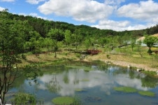 여주군, 황학산수목원에서 아토피 힐링캠프 개최
