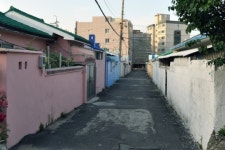 칙칙한 동구 골목, 밝고 화사하게 꽃단장