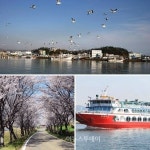 삼천포 유람선·사천 선진공원 벚꽃 기차여행