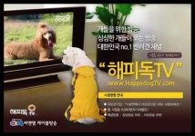 씨앤앰, 반려견 위한 국내제작 해피독TV 채널 제공