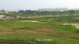 광주 첨단 교통광장, 오는 8월 생태광장으로 탈바꿈