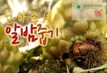 대명투어몰, 밤줍기·레일바이크 등 이색 테마여행 기획전