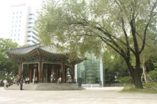 거리 in 대한민국, 종로