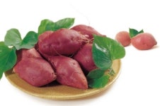 여주시,  대왕님표 고구마 혁신 클러스트 구축