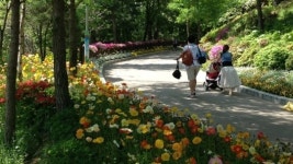 용인시, 농촌테마파크 관람객 225만명 돌파