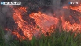 하와이 화산 용암 분출, 마을까지 도달 심각… 주민들 불안감에 발만 동동