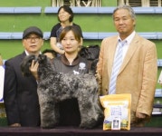 권상국 애견미용학원 권상국 원장 제자들의 성공이 나의 보람이에요