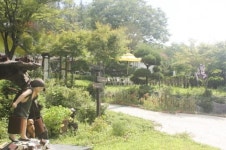 다다예술학교 이은희 교장 예술적 재능을 가진 발달장애학생들의 꿈, 예술로 승화