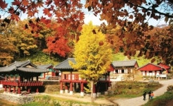 서울시 무료 템플스테이 제공…도심 속 산사에서 힐링