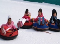 용인시청소년수련원, 슬로프 길이 150m 눈썰매장 개장