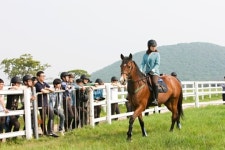 제주한라대학교, 정부로부터 말산업 전문인력 양성기관 지정