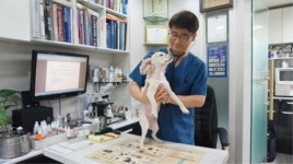 사랑의 동물병원 김승길 원장 행동학적 치료... 건강한 반려동물의 토대