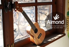 낙원상가에서 추천하는 입문용 우쿨렐레는?