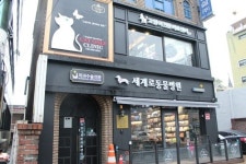 반려동물 고양이, 이젠 전문병원 찾아야…관악구 고양이 전문 병원 세계로동물병원