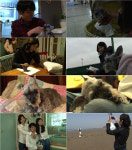 반려동물극장 단짝, 노령견 체리의 버킷리스트… 진정한 반려견의 의미 새긴다