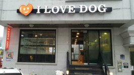 아이러브독, 강아지 안전분양 서비스로 고객만족 강화