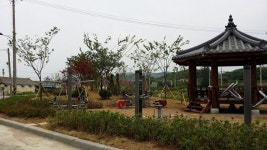 용인시, 시민 기증 수목 생활환경숲에 식재