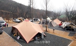 울산 중구, 참살이숲 야영장 모바일홈페이지 운영