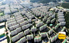 눈길잡는 발품  신혼부부에게 인기