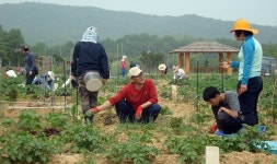 수원시, 시민조경 가드너 교육···시민참여 높여