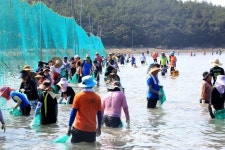 완도 달도마을 갯벌체험장 내달 8일 개방
